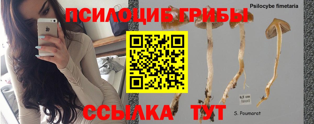 Кстово  Псилоцибиновые грибы MAGIC MUSHROOMS  Галлюциногенные грибы ЛСД  дарнет шоп  Вход с VPN 